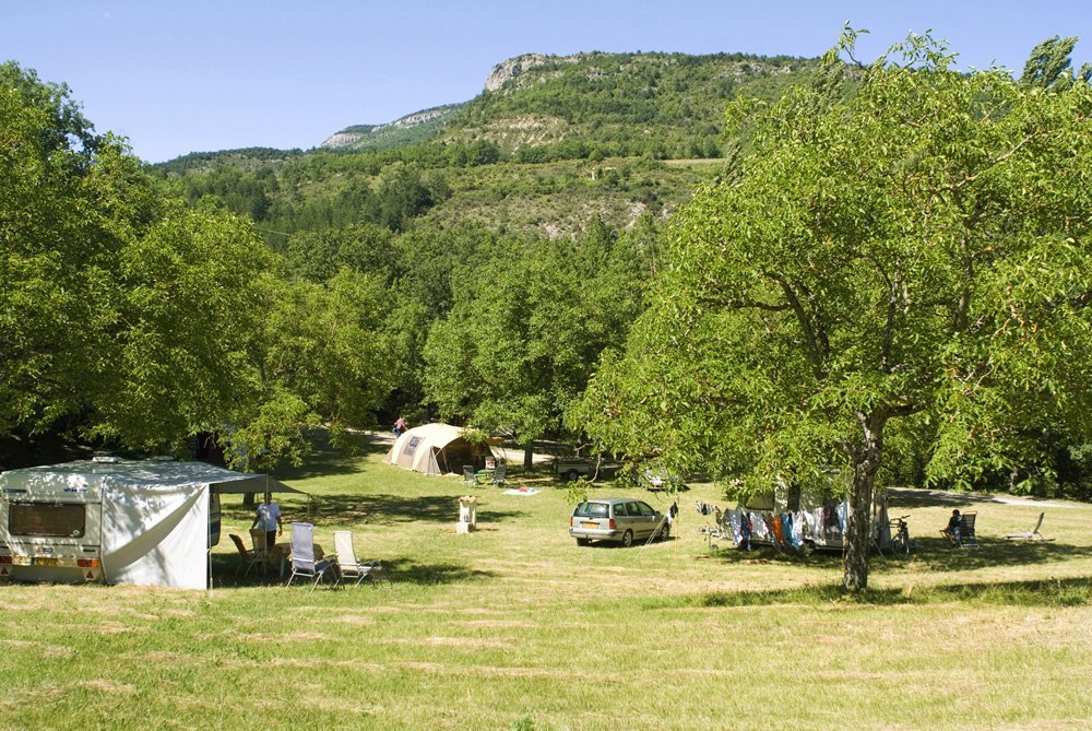 Clos de Bénas, les noyers au cœur du camping –(R-Etienne)
